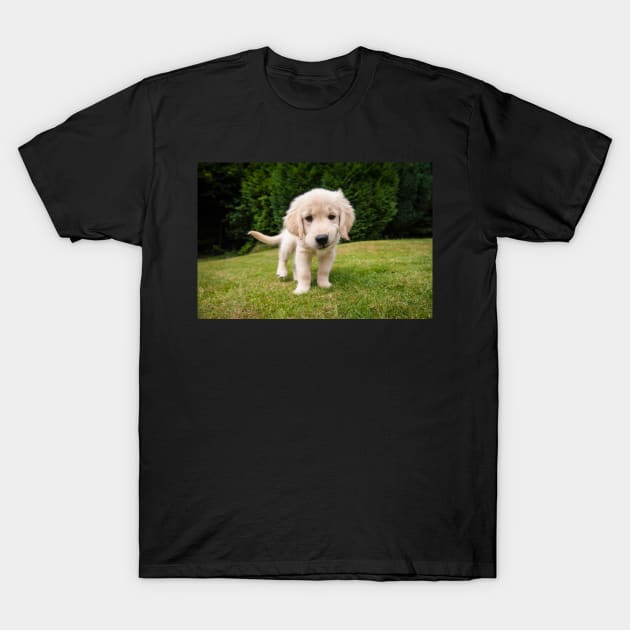 Cheeky Pup T-Shirt by RJDowns